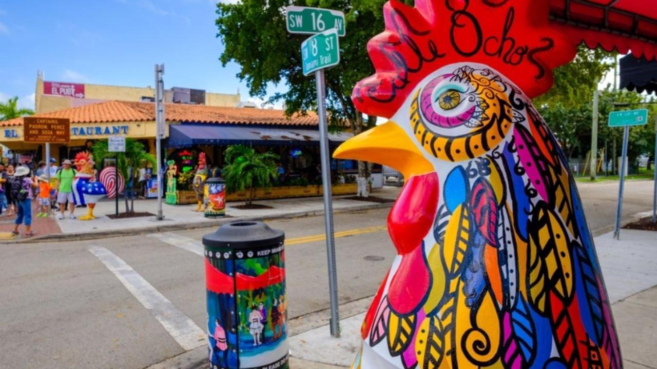 The Marlin Rooster Apartments Miami Zewnętrze zdjęcie